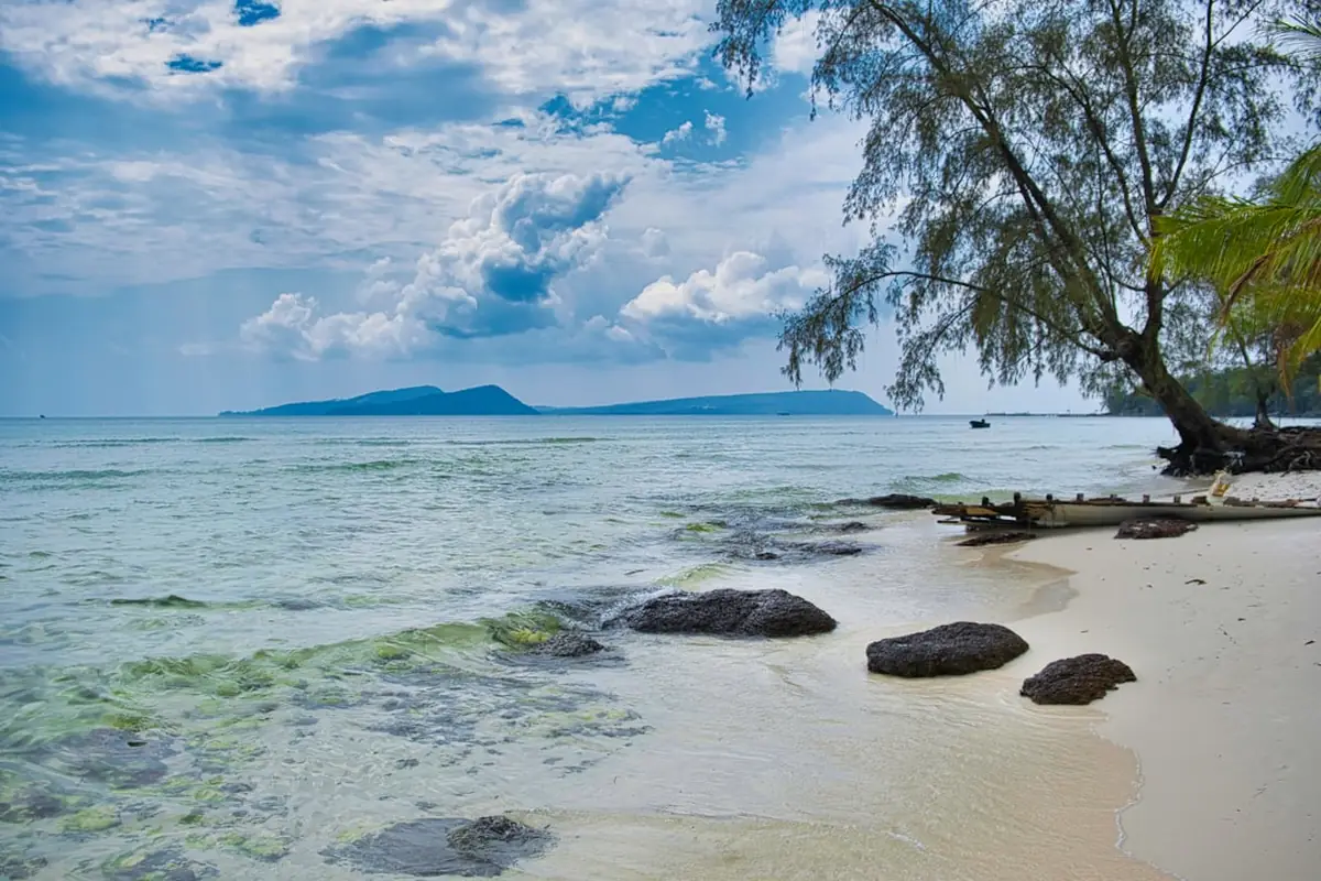 Plage tropicale avec rochers et arbre dans une eau turquoise