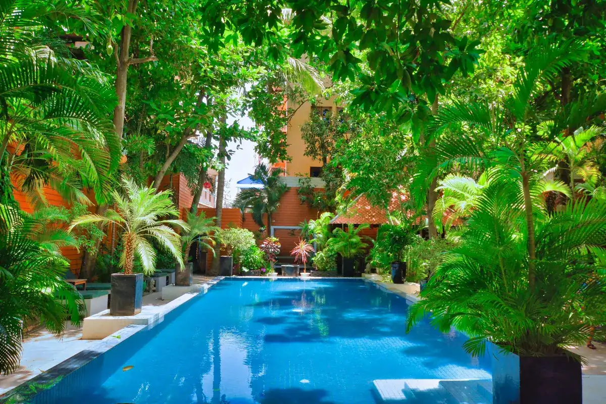 Piscine ombragee d'un boutique-hotel tropical avec vegetation